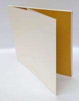日比野光鳳書作展