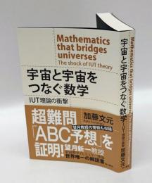 宇宙と宇宙をつなぐ数学  IUT理論の衝撃