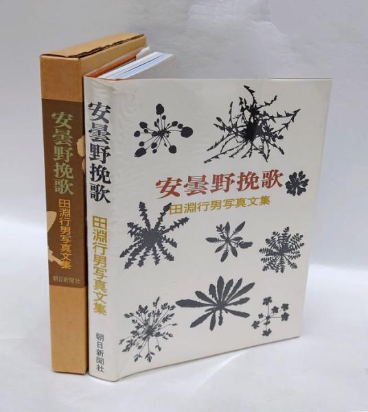 美品 堅山南風 花 NHK出版