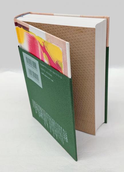 絵画の素 TOPICA PICTUS | 岡﨑乾二郎 | 岩波書店 | ¥4,400 - 日本の
