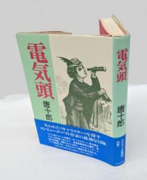 電気頭
