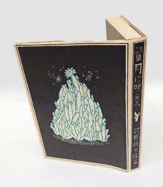 榧の木祭り 芥川賞(高城修三) / 岩森書店 / 古本、中古本、古