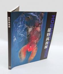 星野眞吾展 : 記憶の痕跡