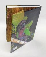 La Amazonia de Colombia