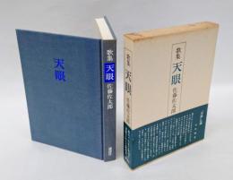 歌集 天眼