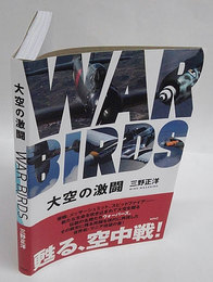 大空の激闘 WAR BIRDS
