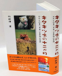 キタキツネの十二か月