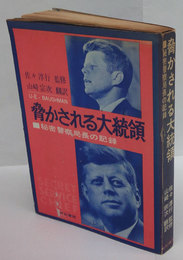 脅かされる大統領　秘密警察局長の記録