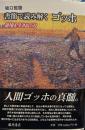 書簡で読み解く ゴッホ 〔逆境を生きぬく力〕