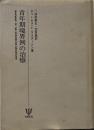 青年期境界例の治療