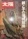 太陽 THE SUN, MONTHLY DELUXE6 昭和五十五年五月十二日