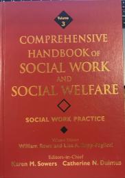 Comprehensive Handbook of Social Work and Social Welfare, Volume 3, Social Work Practice
