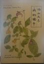 内的獨白