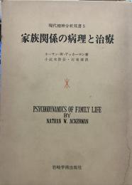 家族関係の病理と治療 (現代精神分析双書)
