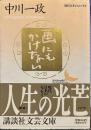 画にもかけない―随筆 (講談社文芸文庫―現代日本のエッセイ) 