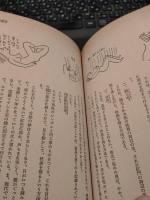 易行道大研究