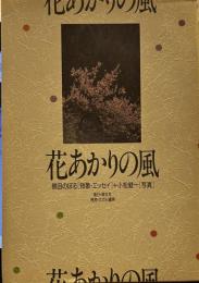 花あかりの風