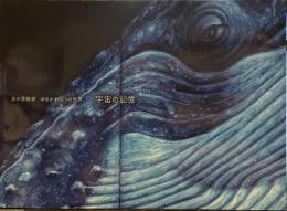 光の芸術家　ゆるかわふうの世界　宇宙の記憶　[図録]