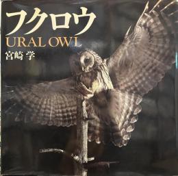 フクロウ : Ural owl