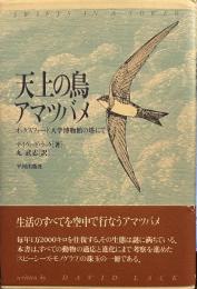 天上の鳥アマツバメ: オックスフォード大学博物館の塔にて