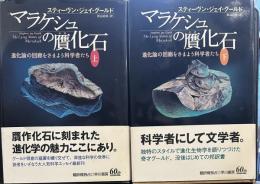 マラケシュの贋化石  上下