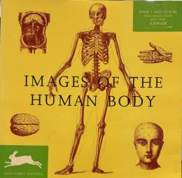 Images of the Human Body (Agile Rabbit Editions)