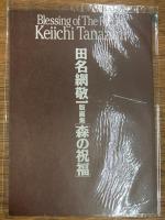 The work of Keiichi Tanaami　田名網敬一の「美術」