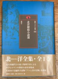 北洋探偵小説選