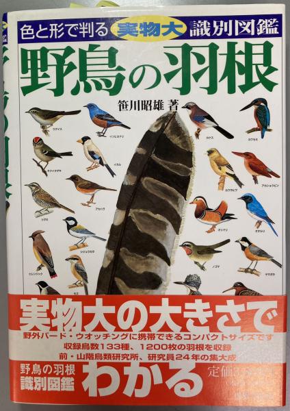 実物大 識別図鑑 野鳥の羽根 笹川昭雄 著 盛林堂書房 古本 中古本 古書籍の通販は 日本の古本屋 日本の古本屋