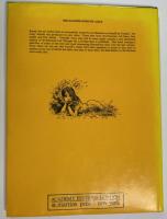 The illustrators of Alice