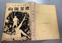 小野連司詩集　向陽湿地