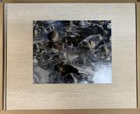 JOHSEL NAMKUNG　A RETROSPECTIVE