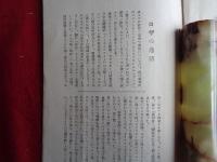 ロザの手紙　ローザ・ルクセンブルクの獄中消息　附・ロザの逸話（堺真柄編、無産者パンフレット、昭和4年）