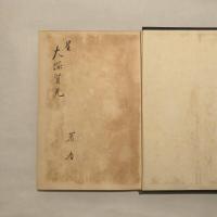 病的殺人の研究（菊地甚一・昭和6年）「少年の強盗殺人未遂」「変質者」「早発性痴呆」「妄想ーぱらのいあ」「鬱憂病」「親子心中」他