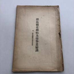 群馬県花柳病及接客業婦調 附 群馬県警察部発表書（大正14年・廓清會 日本基督教婦人矯風會・松宮彌平著）