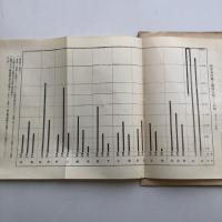 群馬県花柳病及接客業婦調 附 群馬県警察部発表書（大正14年・廓清會 日本基督教婦人矯風會・松宮彌平著）