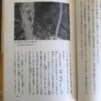 明治の別子（昭和48年・伊藤玉男）詳細は目次画像参照