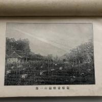 養蜂全書（箱根養蜂場蔵版・青柳浩次郎著・明治38年）詳細は目次画像参照