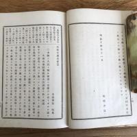 板垣君意見要覧 附高知同盟各社分離始末（茨城県・木瀧淸類編、出版・明治14年初版）（板垣退助）