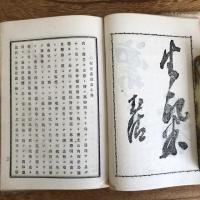 板垣君演説集並二板垣君刺客変報詳記（茨城県・木瀧淸類編、出版明治15年初版）（板垣退助）