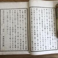 板垣退助君高談集　東洋自由泰斗（千葉県・斉藤和助編・明治18年初版）　
