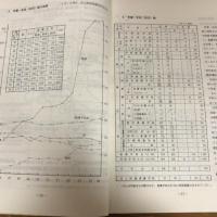 長野県の特殊教育　昭和56年度（長野県教育委員会）詳細は目次画像参照
