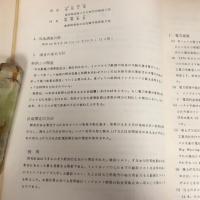 インドネシア共和国　東ジャワ電力長期計画調査報告書（昭和47年、海外技術協力事業団）詳細は目次画像参照
