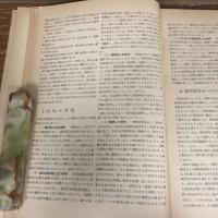中学校・高等学校 学校評価の基準と手引 試案（1951年・文部省）
詳細は目次画像参照