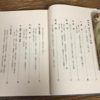体験に基づく不良児と其の指導（昭和3年・椎名龍徳、近藤堅三共著・霊岸授産場出版部）詳細は目次画像参照