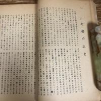 街娼と子どもたちーとくに基地横須賀市の現状分析ー（1953年・慶應義塾大学社会事業研究会）詳細は目次画像参照