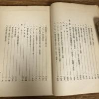 在伯本邦移植民ニ関スル視察報告（大正15年・外務省通商局）詳細は目次画像参照
