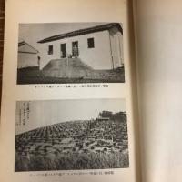 在伯本邦移植民ニ関スル視察報告（大正15年・外務省通商局）詳細は目次画像参照
