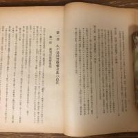 法廷警察権の研究ー特に歴史的及び比較法的研究ー　司法研究報告書 5-1（昭和27年、羽生田利朝、司法研修所）詳細は目次画像参照