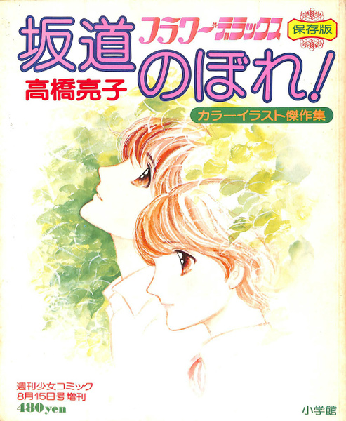 フラワーデラックス保存版 坂道のぼれ！ カラーイラスト傑作集 週刊